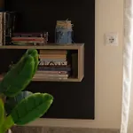 Evillion Apartment