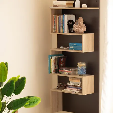 Evillion Daire Tolón